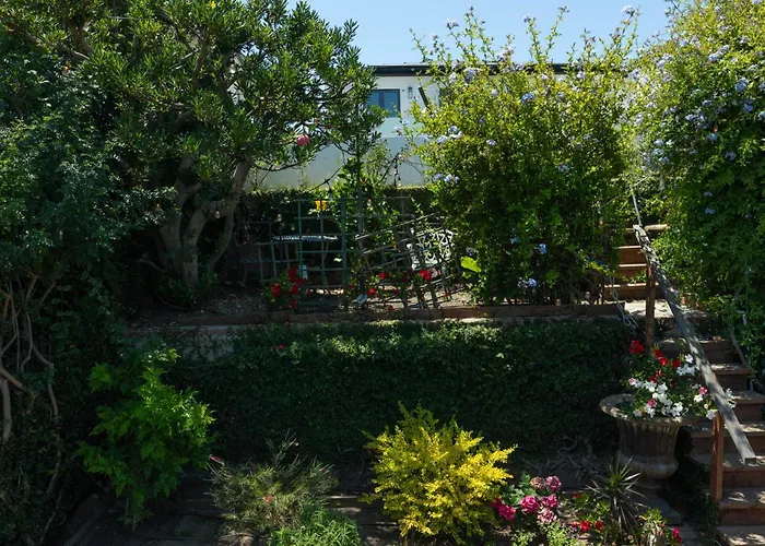 Overlooking Marina Del Rey Sailboats, Is Green Ginger Playa Del Rey On The Bluff, Los Angeles